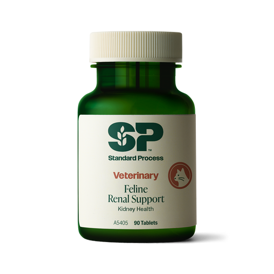 Feline Renal Support, 90 Tablets